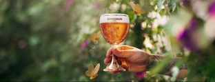 Grimbergen i natur